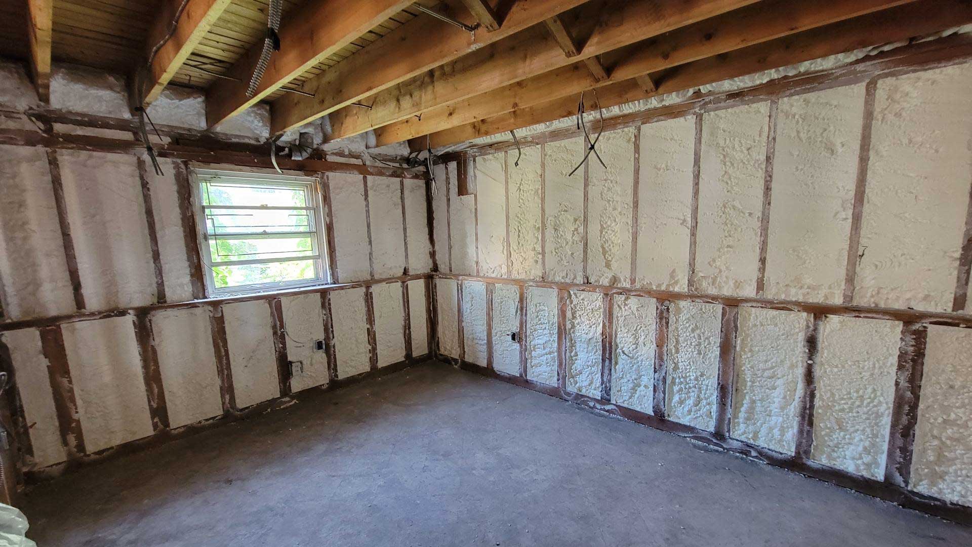 Basement (1)